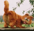 /album/fotogalerie/garfield-jpg1/